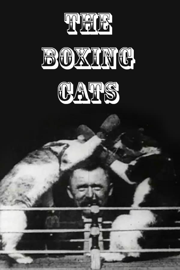 TOP - The Boxing Cats (Prof. Welton's) - 1894